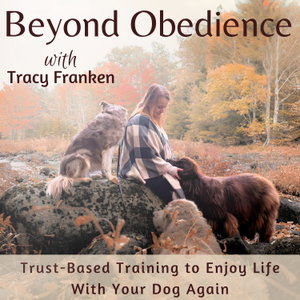 Beyond Obedience | Dog Training, Dog Body Language, Anxious Dogs, Scared Dogs, Reactive Dogs 