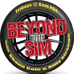 Beyond The Sim