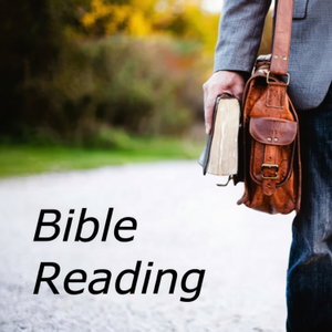 Bible Reading