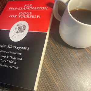 Bierkergaard: The Writings of Soren Kierkegaard 