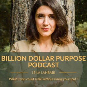 Billion Dollar Purpose: Your High-Impact, Low Burn-Out Journey