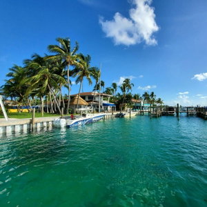Bimini Bound