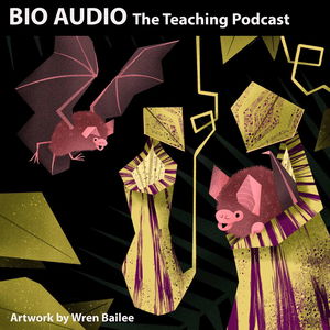 BioAudio