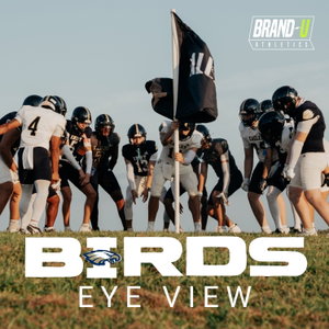 Birds Eye View