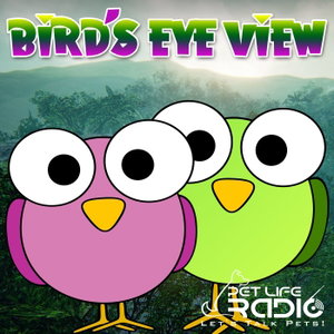 Bird's Eye View- Pet Life Radio Original