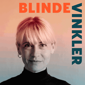 Blinde Vinkler -