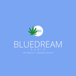 BlueDream Radio 