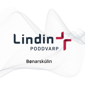 Bønarskúlin