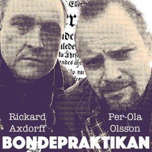 Bondepraktikan