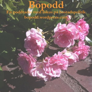 BoPodd