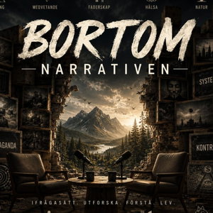 Bortom Narrativen Podcast