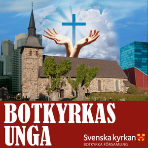 Botkyrkas unga