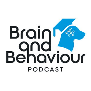 Brain and Behaviour