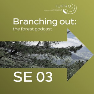 Branching out