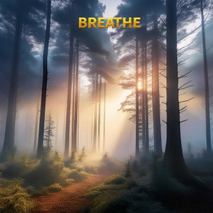 Breathe by PanchPrana