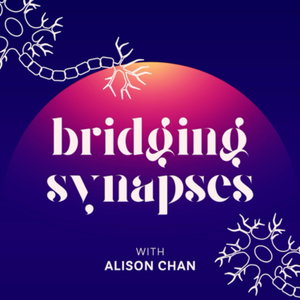 Bridging Synapses