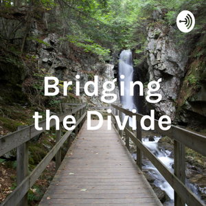 Bridging the Divide