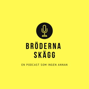 Bröderna Skägg