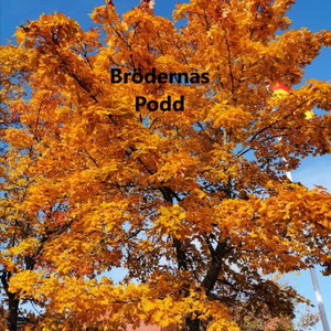 Brödernas podd