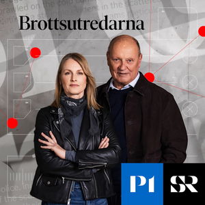 Brottsutredarna