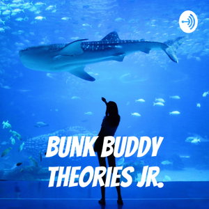 Bunk Buddy Theories Jr.