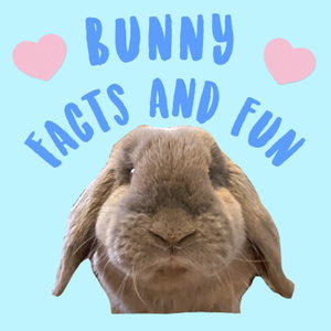 Bunny Facts and Fun