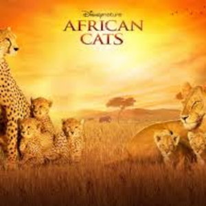 Bunny Lewis' African Cats Podcast