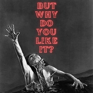 But Why Do You Like It?