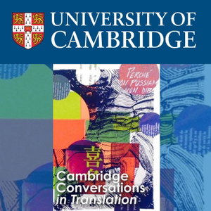 Cambridge Conversations in Translation