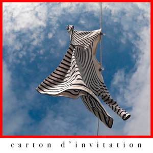 Carton d'invitation 