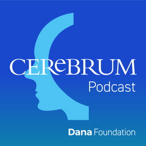 Cerebrum