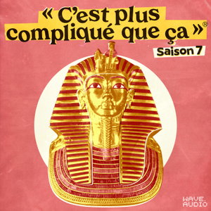 C'est plus compliqué que ça