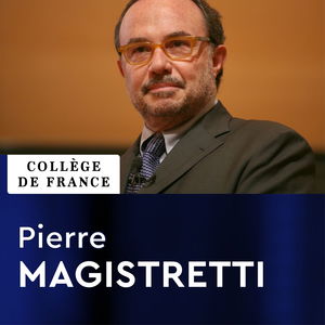 Chaire internationale (2007-2008) - Pierre Magistretti