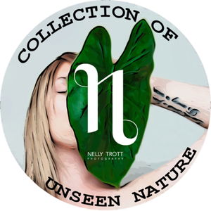 Collection of unseen nature