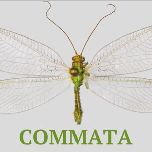 Commata: Communication Theory and Research