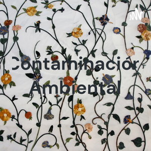Contaminación Ambiental - Karol Boza