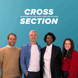 Cross Section