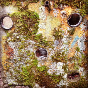 Culture & Ecology | Stories from the Confluence