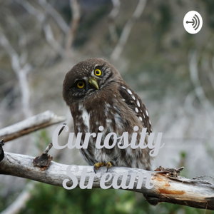 Curiosity Stream