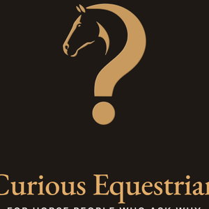 Curious Equestrian
