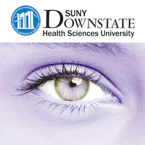 Current Concepts in Ophthalmology 2016 - 2017