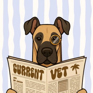 Current Vet