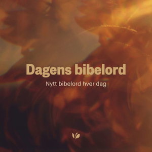 Dagens bibelord fra bibel.no