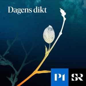 Dagens dikt