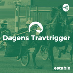 Dagens Travtrigger