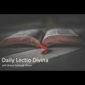 Daily Lectio Divina