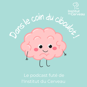 Dans le coin du ciboulot !