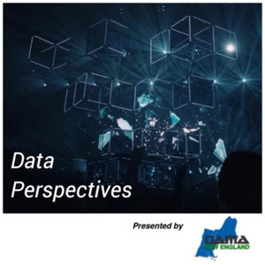 Data Perspectives 