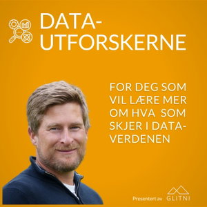 Datautforskerne