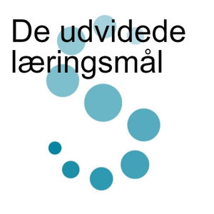 De Udvidede Læringsmål
